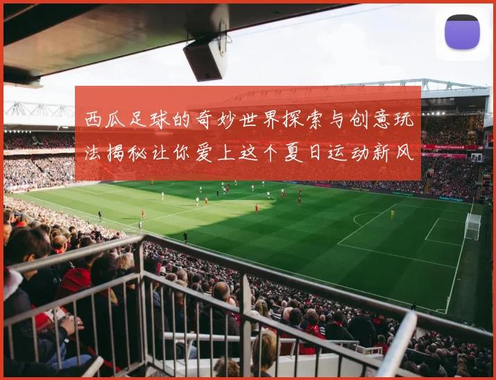 西瓜足球的奇妙世界探索与创意玩法揭秘让你爱上这个夏日运动新风潮