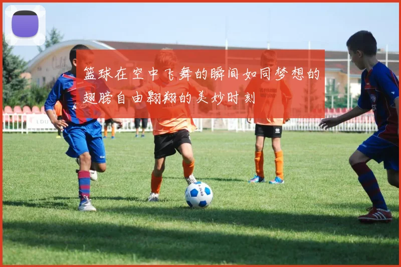 篮球在空中飞舞的瞬间如同梦想的翅膀自由翱翔的美妙时刻