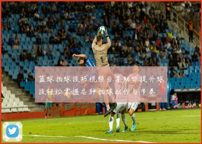 篮球拍球技巧视频分享助你提升球技轻松掌握各种拍球动作与节奏