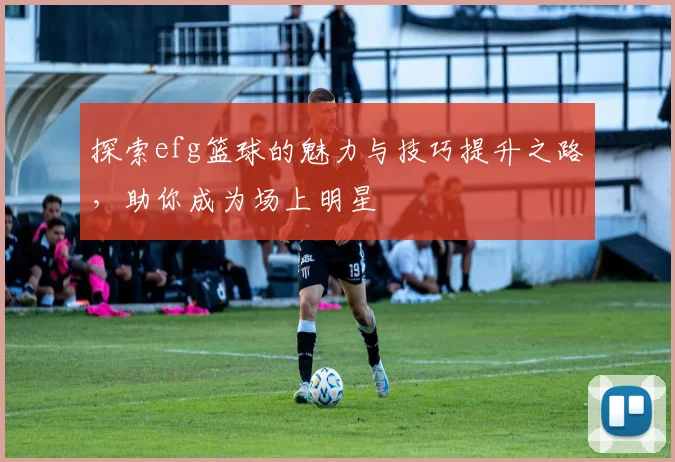 探索efg篮球的魅力与技巧提升之路，助你成为场上明星