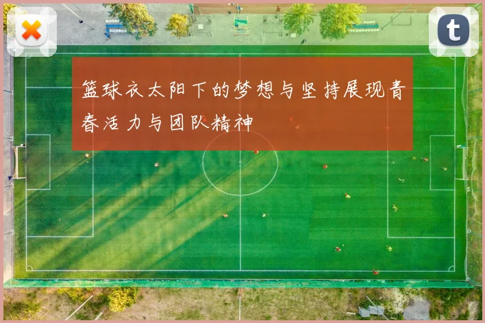 篮球衣太阳下的梦想与坚持展现青春活力与团队精神