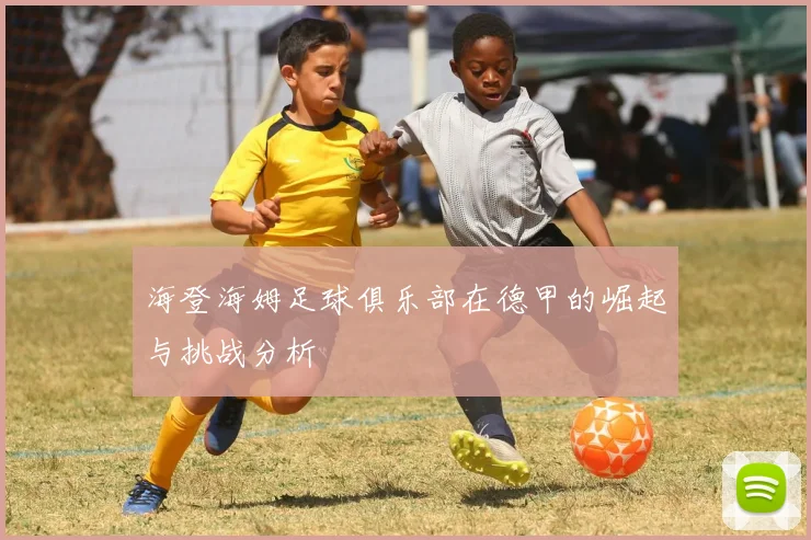海登海姆足球俱乐部在德甲的崛起与挑战分析