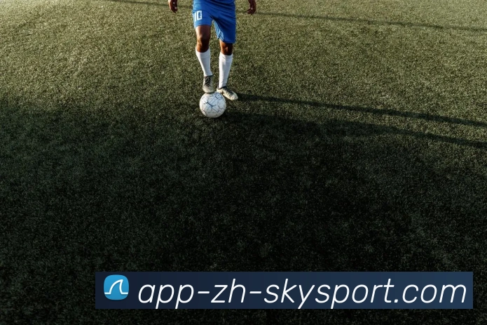 星空体育官网平台生态图